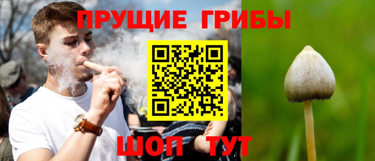 Галлюциногенные грибы Magic Shrooms  Вход с VPN  Братск  Галлюциногенные грибы Psilocybe 